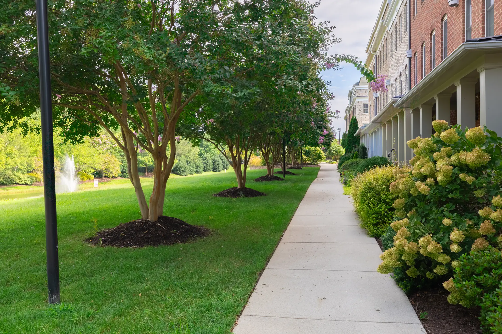 Fountain and landscaped walkway along the townhome row
