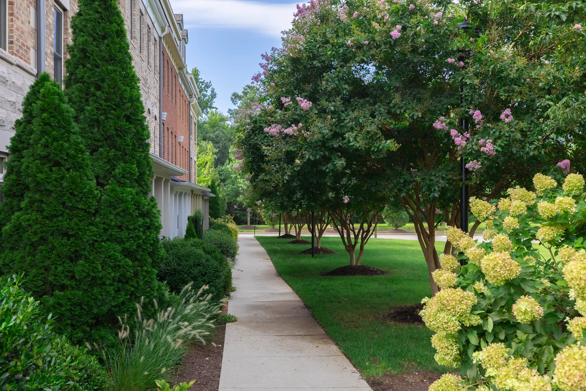 Landscaped walkway with crepe myrtles and hydrangeas