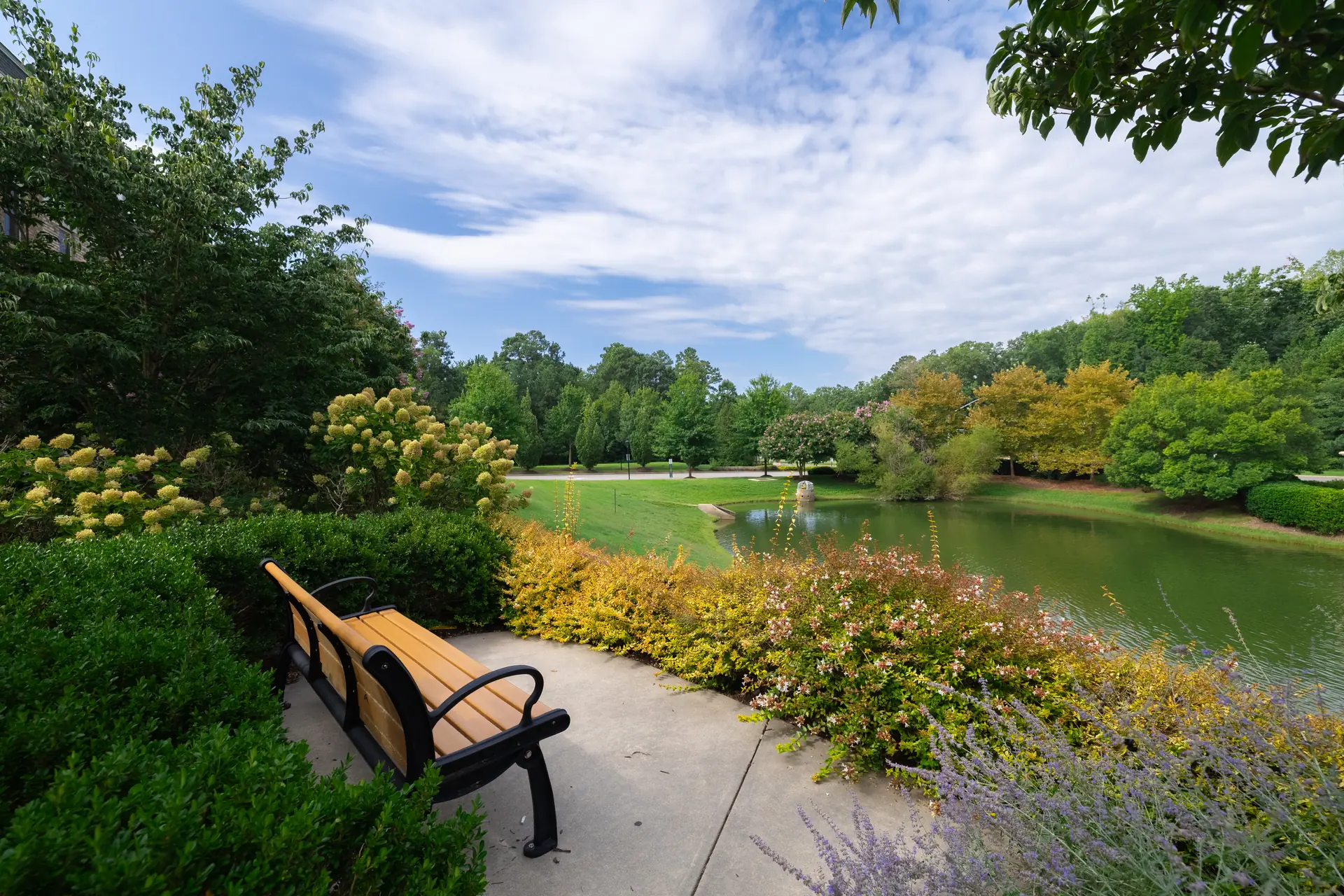 Bench overlooking the pond and open green